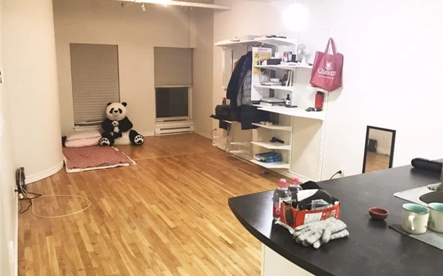Kingston High-quality one bedroom and living room for rent 0