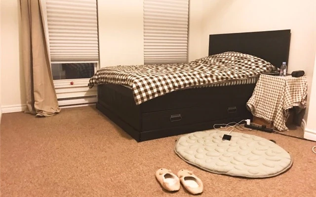 Kingston High-quality one bedroom and living room for rent 2