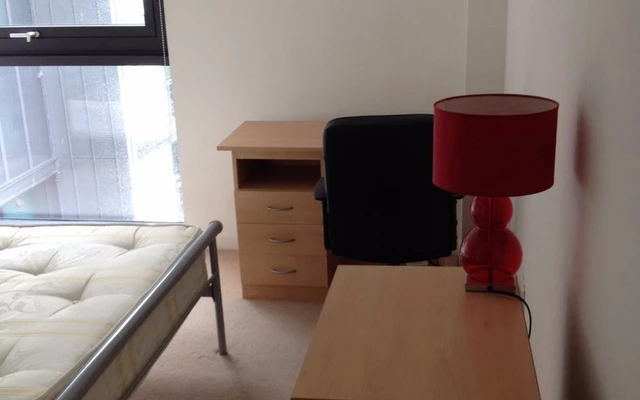 2-bedroom apartment with river view 2