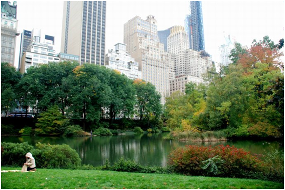 揭秘曼哈顿被称为"最纽约"的社区