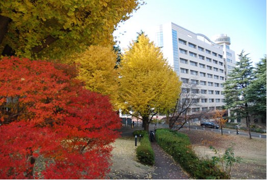 如何從機場前往東京工業大學